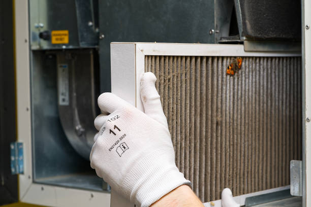 Best Emergency Air Duct Cleaning  in Plummer, ID